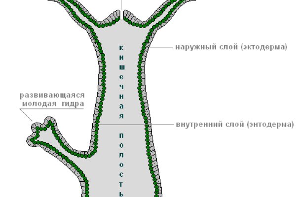 Кракен ссылка на сайт тор