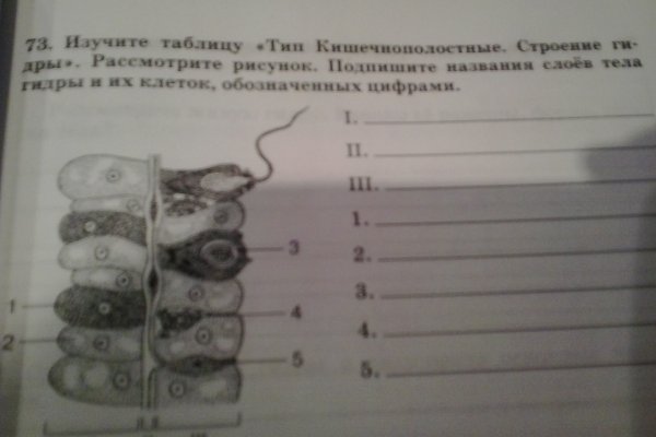 Кракен ссылка vtor