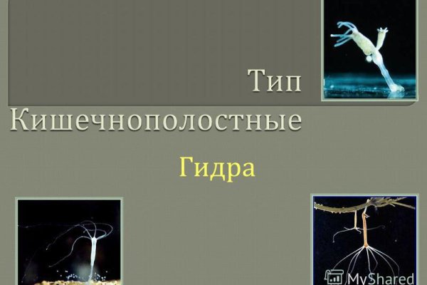 Как зайти в кракен торе