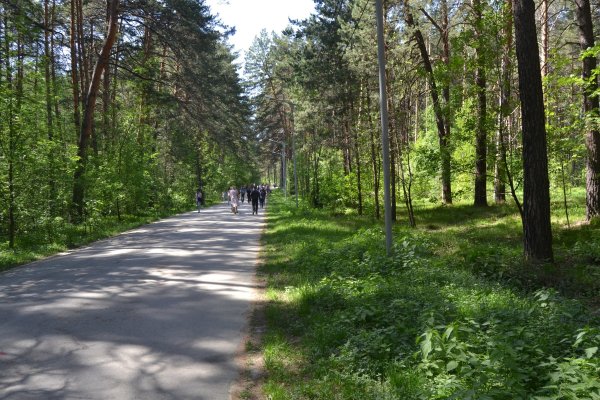 Список даркнет сайтов