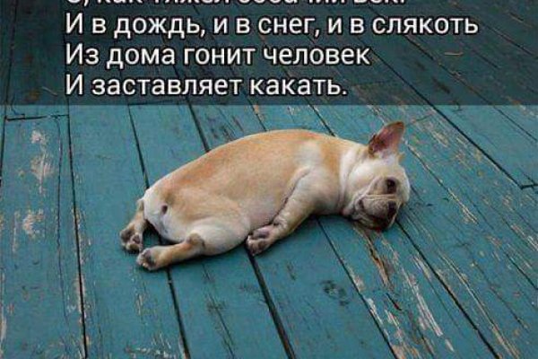 Кракен сайт krk store com